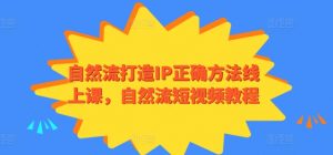 自然流打造IP正确方法线上课,自然流短视频教程-林文副业站