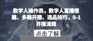 数字人操作员,数字人直播搭建、多路开播、选品技巧,0-1开播流程-林文副业站