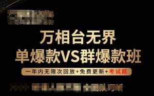 万相台无界单爆款VS群爆款班,选择大于努力,让团队事半功倍!-林文副业站
