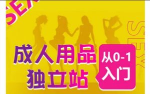 成人用品独立站从0-1入门，成品独立站运营全流程教学，七大好卖成品独立站推荐-林文副业站