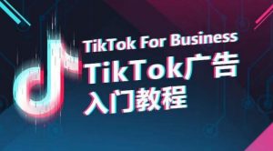 TikTok广告入门教程,从0到1掌握TikTok投放的全流程-林文副业站