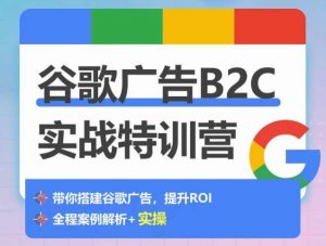 谷歌广告B2C实战特训营,500+谷歌账户总结经验,实战演示如何从0-1搭建广告账户-林文副业站