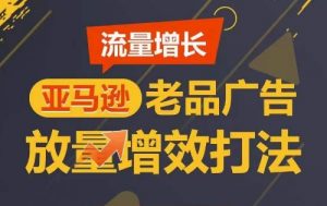 流量增长 亚马逊老品广告放量增效打法，短期内广告销量翻倍-林文副业站