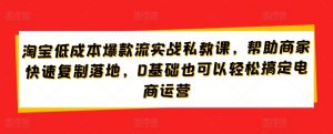 淘宝低成本爆款流实战私教课,帮助商家快速复制落地,0基础也可以轻松搞定电商运营-林文副业站