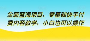 全新蓝海项目，零基础快手付费内容教学，小白也可以操作【揭秘】-林文副业站
