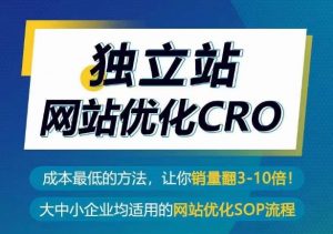 独立站网站优化CRO,成本最低的方法,让你销量翻3-10倍-林文副业站