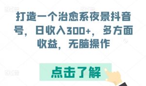 打造一个治愈系夜景抖音号，日收入300+，多方面收益，无脑操作【揭秘】-林文副业站