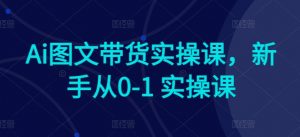 Ai图文带货实操课,新手从0-1 实操课-林文副业站