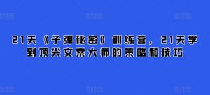 21天《子弹秘密》训练营，21天学到顶尖文案大师的策略和技巧-林文副业站
