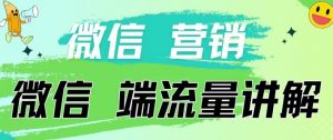 4.19日内部分享《微信营销流量端口》微信付费投流【揭秘】-林文副业站