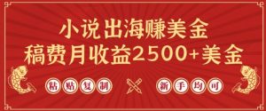 小说出海赚美金，稿费月收益2500+美金，仅需chatgpt粘贴复制，新手也能玩转【揭秘】-林文副业站