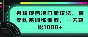 男粉项目冷门新玩法，售卖私密训练课程，一天轻松1000+【揭秘】-林文副业站