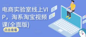 电商实验室线上VIP,淘系淘宝视频课(全面版)-林文副业站