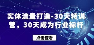 实体流量打造-30天特训营，30天成为行业标杆-林文副业站