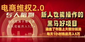 电商维权 4.0 如何做到月入 5 万+每天 1 小时新人也能快速上手【仅揭秘】-林文副业站