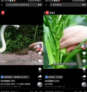 抖音卡章节搬运：短剧搬运术，百分百过抖，一比一搬运，只能安卓【揭秘】-林文副业站