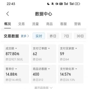 拼多多虚拟U盘电商红利项目：月赚2万+，新手小白也能玩-林文副业站
