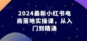 2024最新小红书电商落地实操课，从入门到精通-林文副业站