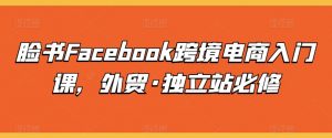 脸书Facebook跨境电商入门课，外贸·独立站必修-林文副业站
