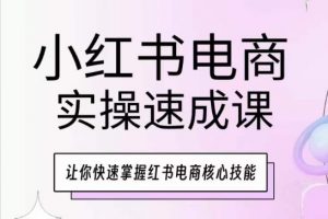 小红书电商实操速成课，让你快速掌握红书电商核心技能-林文副业站
