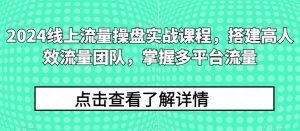 2024线上流量操盘实战课程,搭建高人效流量团队,掌握多平台流量-林文副业站
