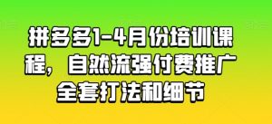 拼多多1-4月份培训课程，自然流强付费推广全套打法和细节-林文副业站