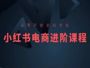 从零开始走向专业，小红书电商进阶课程-林文副业站