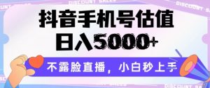 抖音手机号估值，日入5000+，不露脸直播，小白秒上手【揭秘】-林文副业站