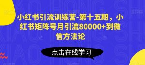 小红书引流训练营-第十五期,小红书矩阵号月引流80000+到微信方法论-林文副业站