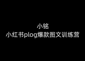 小铭-小红书plog爆款图文训练营，教你从0-1做小红书-林文副业站