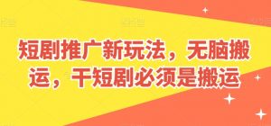 短剧推广新玩法，无脑搬运，干短剧必须是搬运【揭秘】-林文副业站