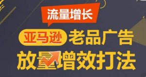 亚马逊流量增长-老品广告放量增效打法,循序渐进,打造更多TOP listing-林文副业站