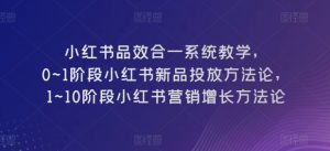 小红书品效合一系统教学，​0~1阶段小红书新品投放方法论，​1~10阶段小红书营销增长方法论-林文副业站