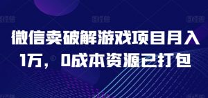 微信卖破解游戏项目月入1万,0成本资源已打包【揭秘】-林文副业站