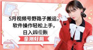 5月视频号野路子搬运，软件操作轻松上手，日入三位数【揭秘】-林文副业站
