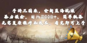 手游三国杀最新蓝海玩法，简单粗暴，无需复杂的操作和技术，看完即可上手【揭秘】-林文副业站