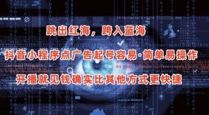 抖音小程序点广告项目，起号容易，简单易操作，开播就见有收益【揭秘】-林文副业站