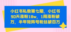 小红书私教第七期,小红书90天涨粉18w,1周涨粉破万,半年矩阵号粉丝破百万-林文副业站