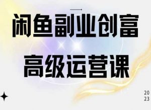 闲鱼电商运营高级课程，一部手机学会闲鱼开店赚钱-林文副业站