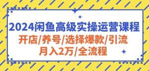2024闲鱼高级实操运营课程：开店/养号/选择爆款/引流/月入2万/全流程-林文副业站