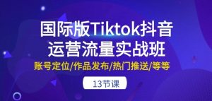 国际版Tiktok抖音运营流量实战班：账号定位/作品发布/热门推送/等等-13节-林文副业站