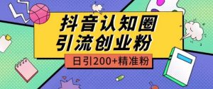 外面收费3980抖音认知圈引流创业粉玩法日引200+精准粉【揭秘】-林文副业站