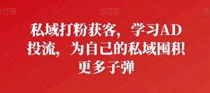 私域打粉获客,学习AD投流,为自己的私域囤积更多子弹-林文副业站