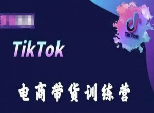 TikTok电商带货训练营，跟随时代潮流，跨境掘金-林文副业站