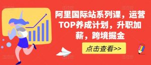 阿里国际站系列课，运营TOP养成计划，升职加薪，跨境掘金-林文副业站