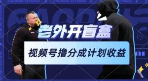 老外开盲盒视频，撸视频号分成计划收益，每天只需一小时，新手小白轻松上手【揭秘】-林文副业站