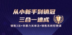 从小新手到销冠 三合一速成:销售3法+非暴力关单法+销售系统挖需课 (27节)-林文副业站