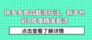 拼多多竞品截流玩法，新手也能0成本精准截流-林文副业站