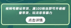 视频号搬运带货，满100粉丝即可开通橱窗带货，玩法非常暴力【揭秘】-林文副业站