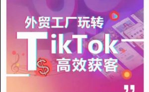外贸工厂玩转TikTok高效获客,多种引流方式与账号定位技巧,拆解爆款短视频打造成功案例-林文副业站